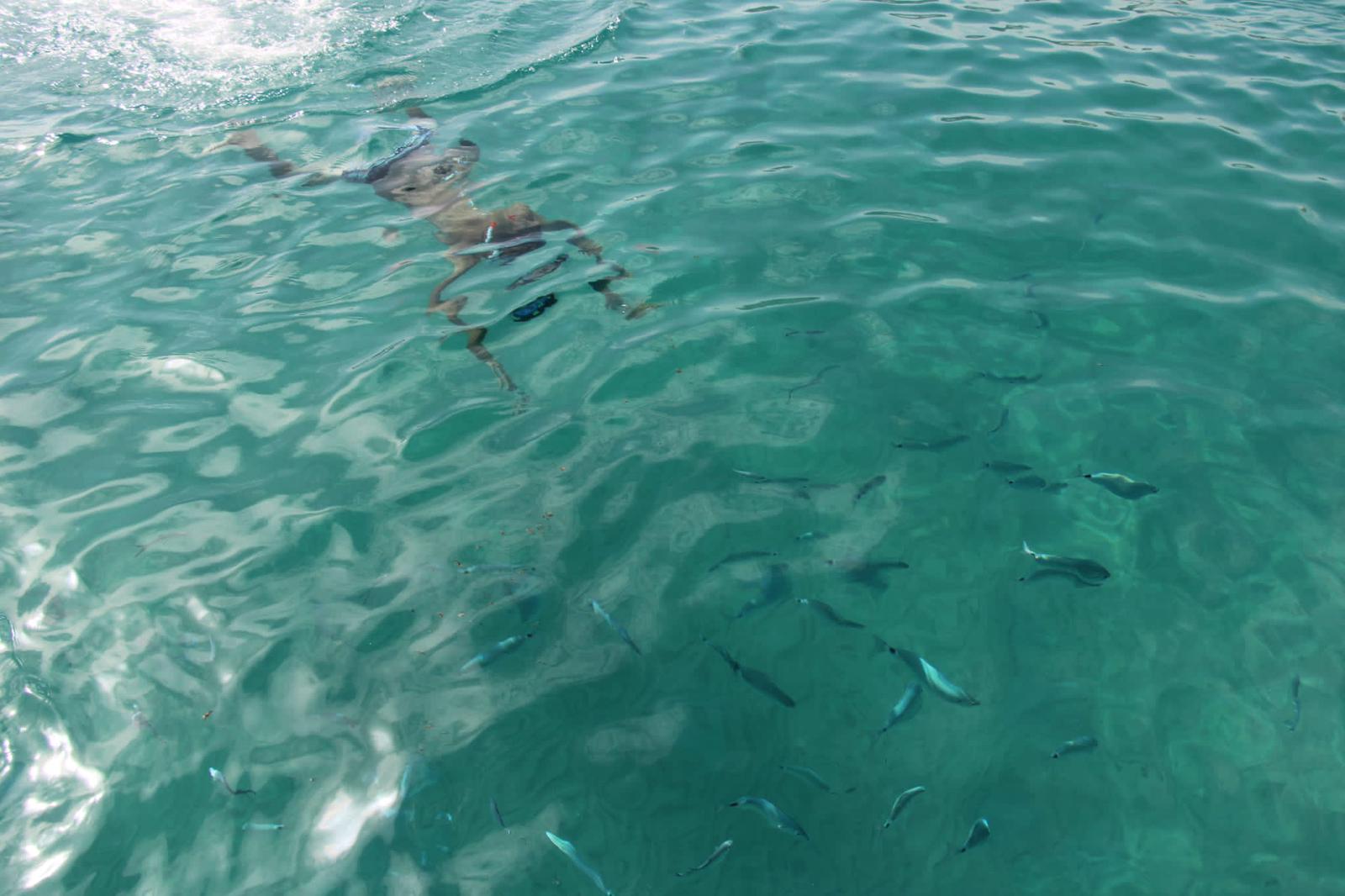 Swimmer snorkeling in turquoise crystal-clear water surrounded by fish in a Moraira cove, Costa Blanca