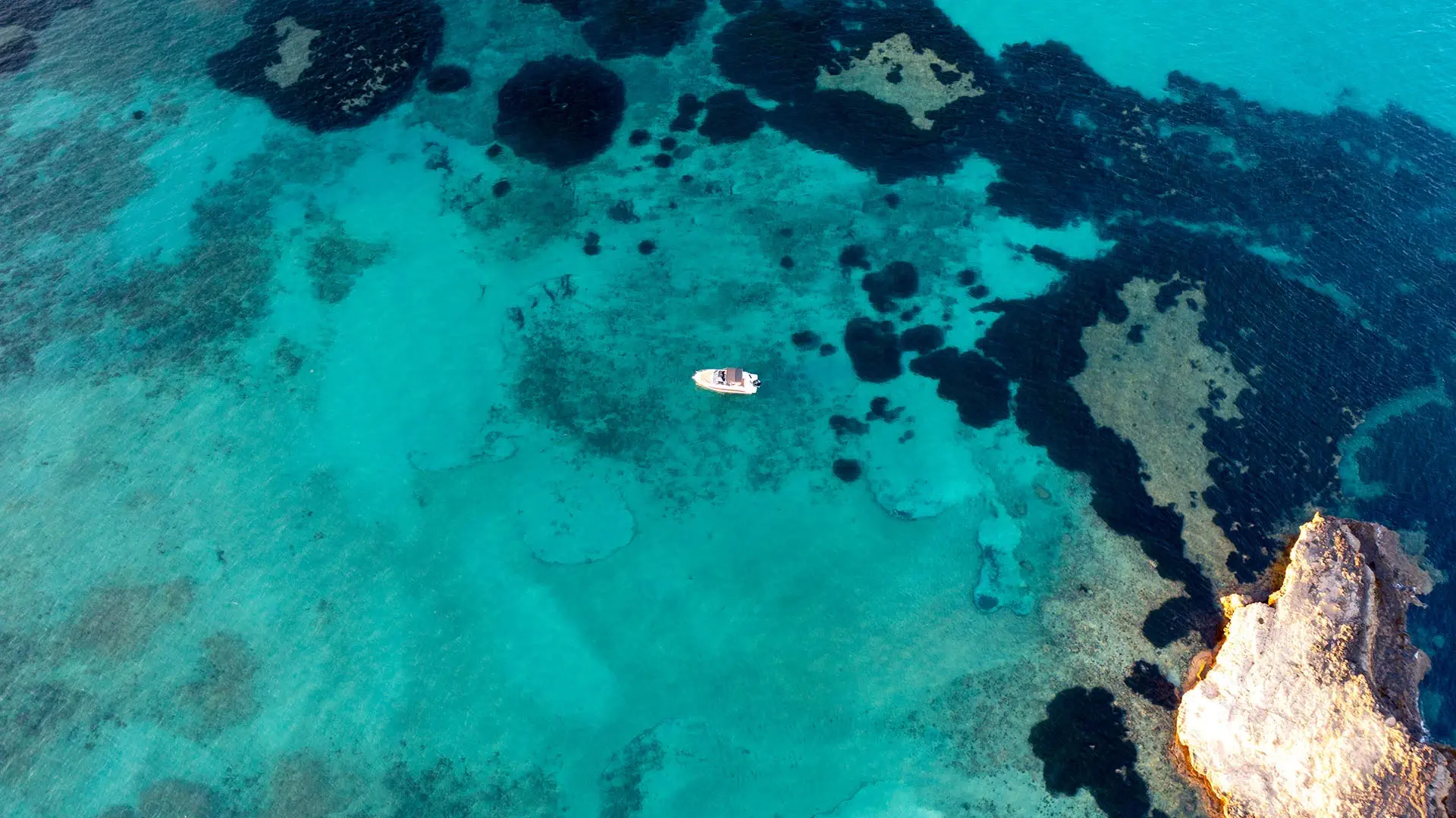 Boat Routes in Altea and the Costa Blanca
