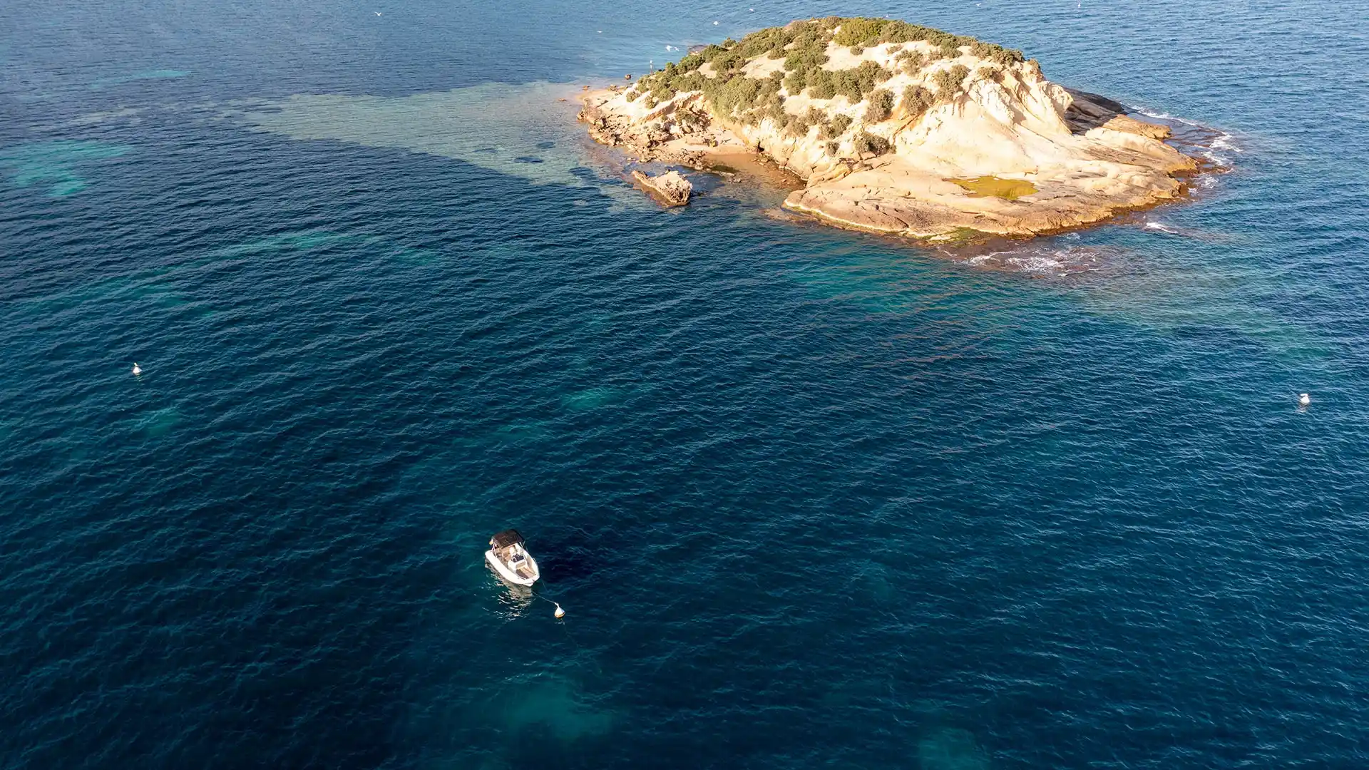 Responsible Anchoring in the Costa Blanca: A Guide to Protecting Posidonia